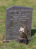image of grave number 909029